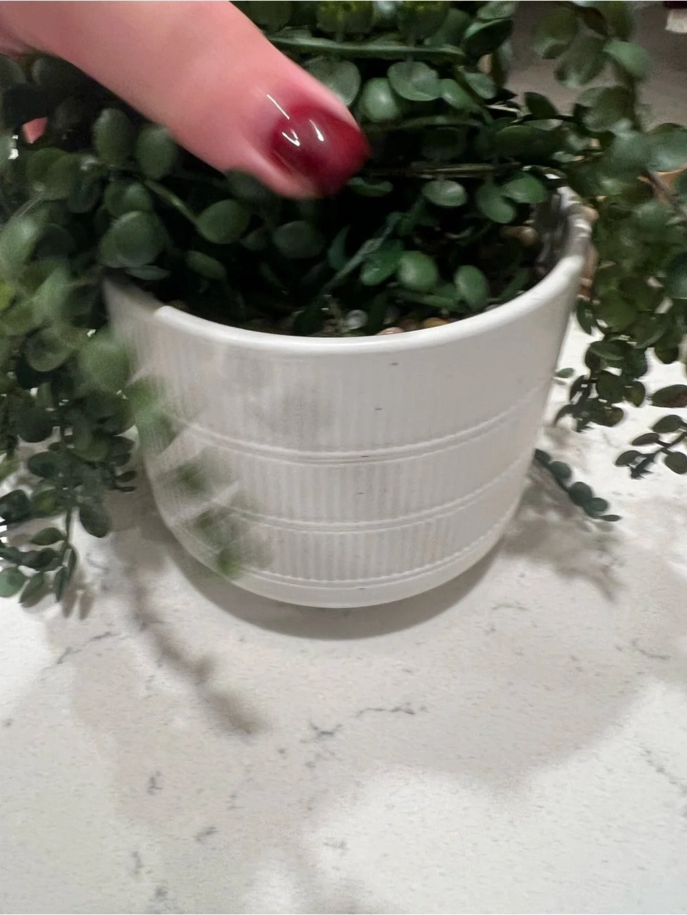 Faux Green Trailing Potted Plant